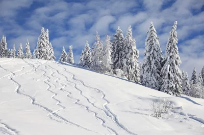 Sallanches - hiver ensoleillé