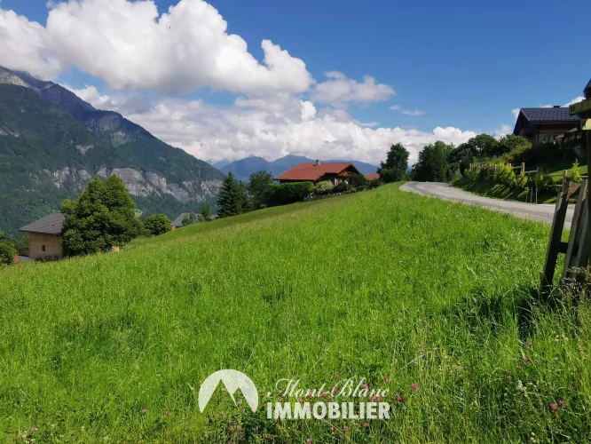 - Photo N°